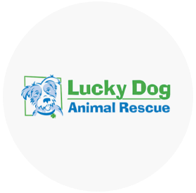 Lucky Dog Animal Rescue